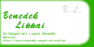 benedek lippai business card